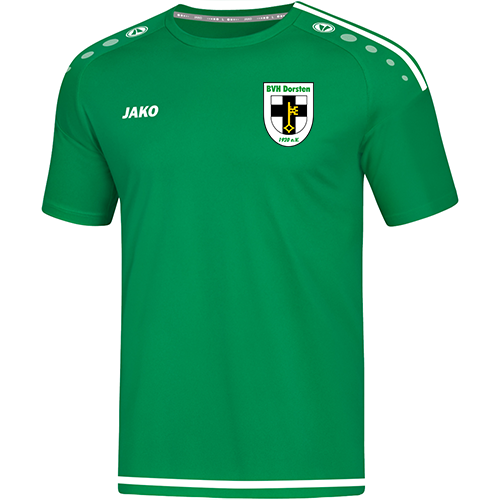 BVH Dorsten Trikot Striker 2.0-KIDS