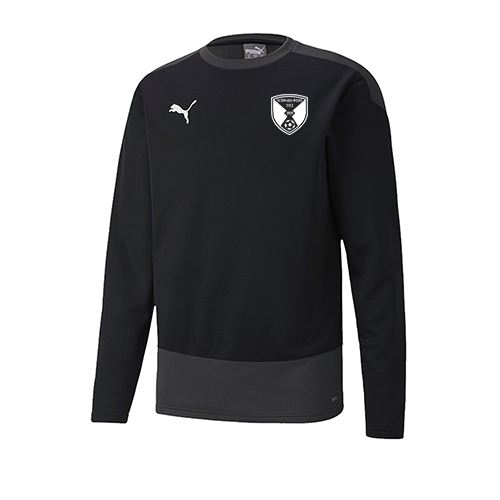 Puma GOAL23 Training Sweat Titz