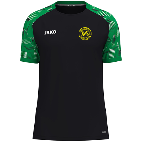 SV 19 Straelen T-Shirt Sonic KIDS