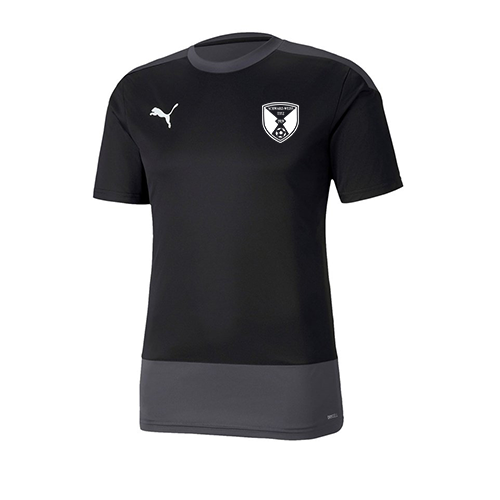 Puma GOAL23 Training Jersey Titz